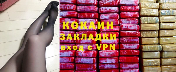spice Новодвинск