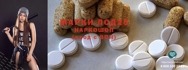 spice Новодвинск